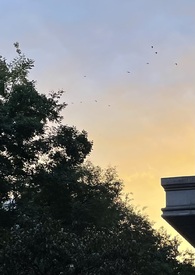 什么东西才能让史莱姆不粘手